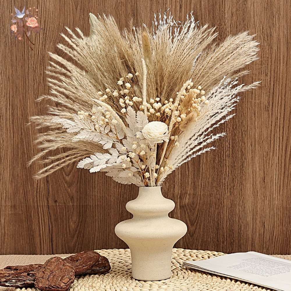 Dried Pampas Bundle - Paquete de 40 piezas de cañas