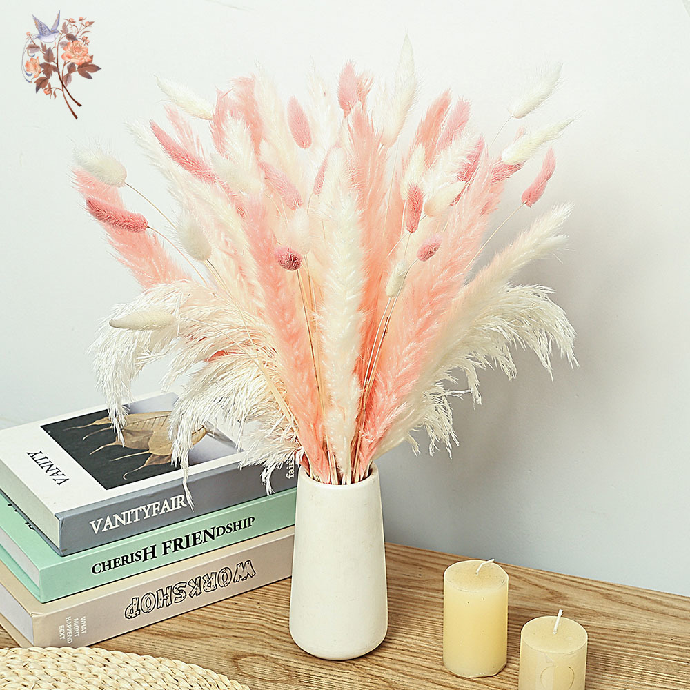 Dried Pampas Bundle - 62 piezas de cañas blancas, colas