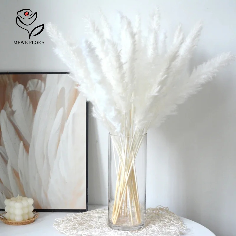 Dried Pampas Bundle - 20 Piezas de Hierba de Pampas