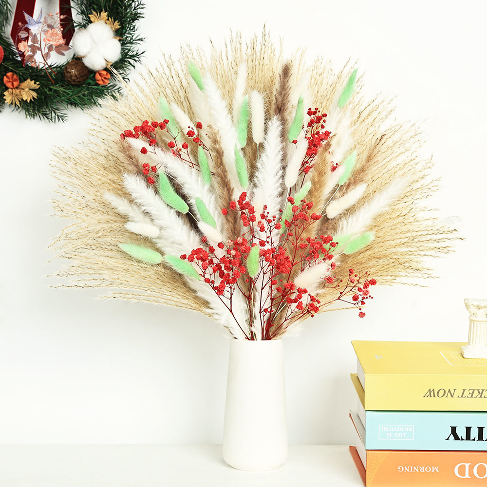 Dried Pampas Bundle - 70 tallos de mechones de hierba
