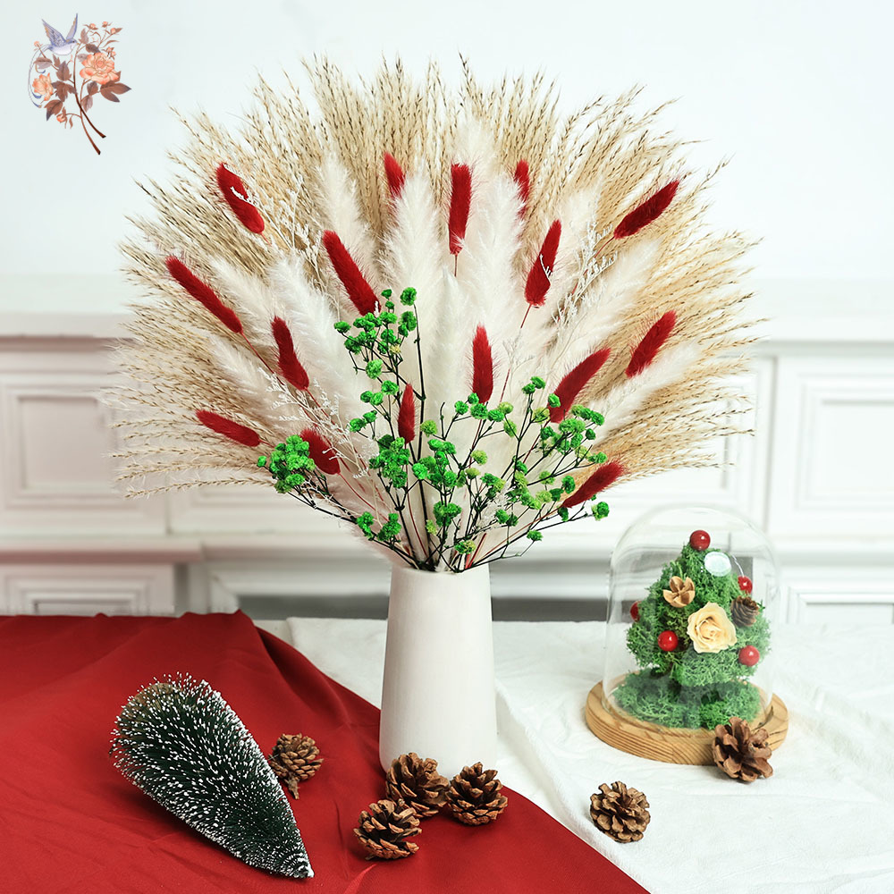 Dried Pampas Bundle - Ramo de flores secas para interiores,