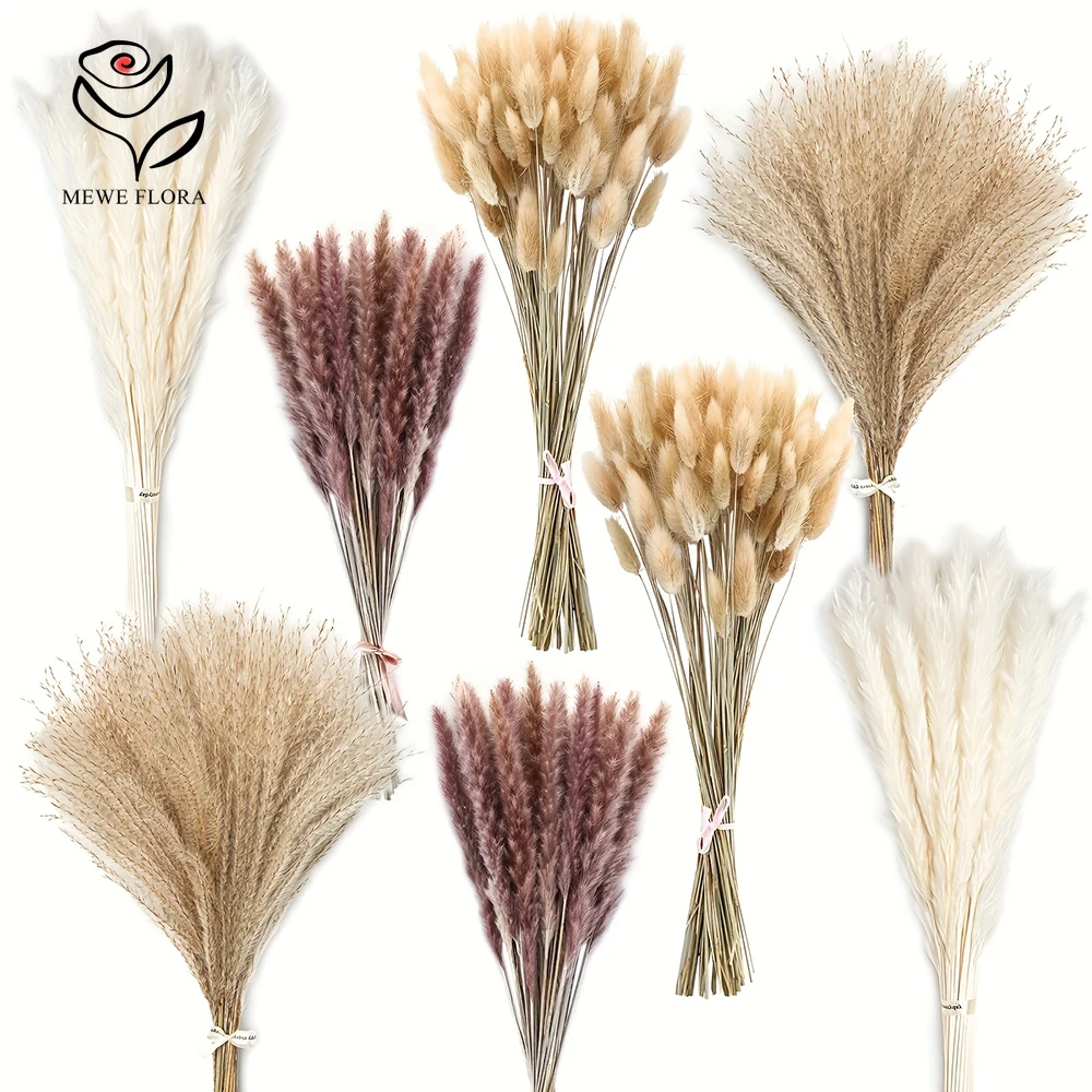 Dried Pampas Bundle - 200 Uds. De colas de conejo