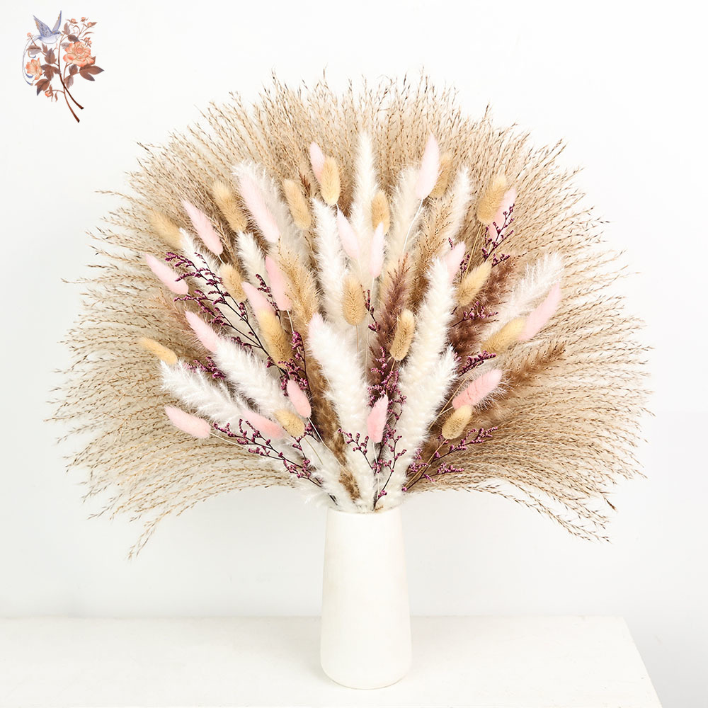 Mechones de colas de conejo Pa - Dried Pampas Bundle reseña y precio