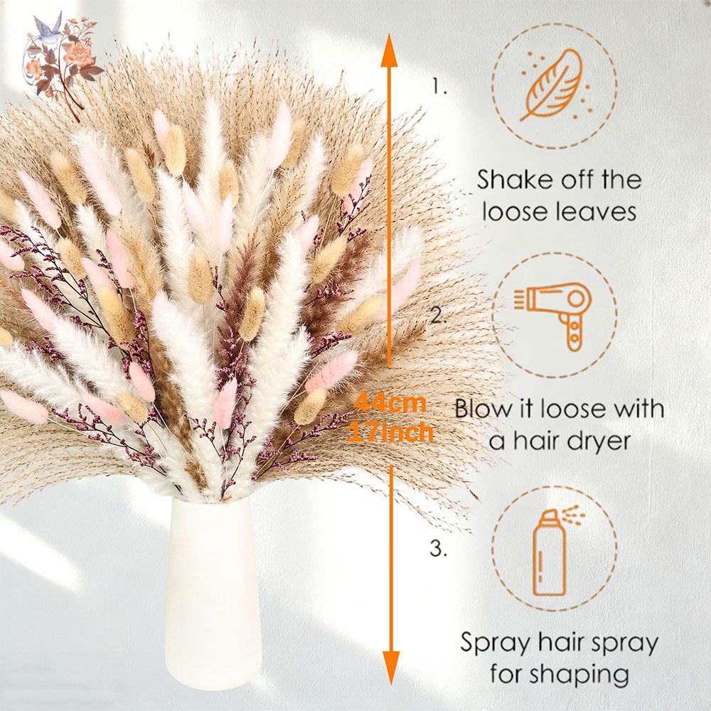 Mechones de colas de conejo Pa - Dried Pampas Bundle reseña y precio