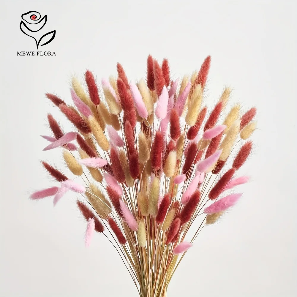 90 Uds. Mezcla de 3 colores co - Dried Pampas Bundle reseña y precio
