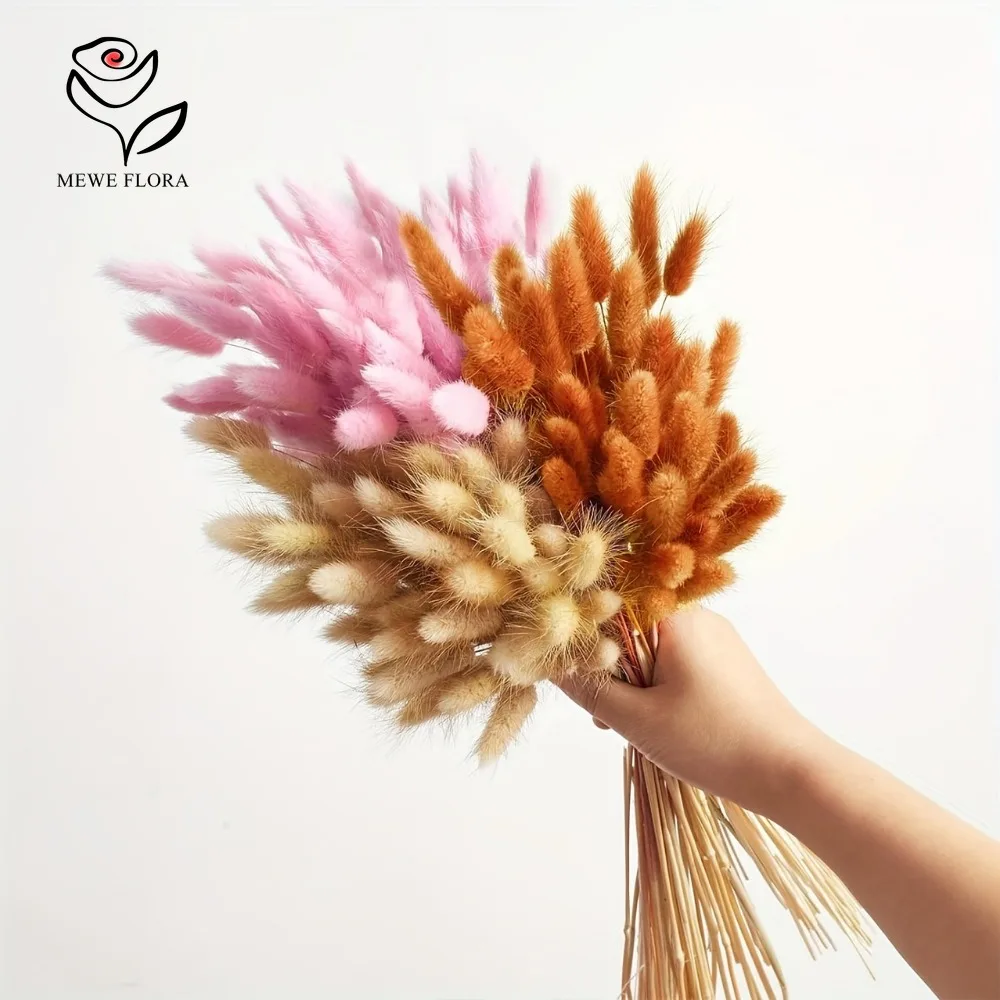 90 Uds. Mezcla de 3 colores co - Dried Pampas Bundle reseña y precio