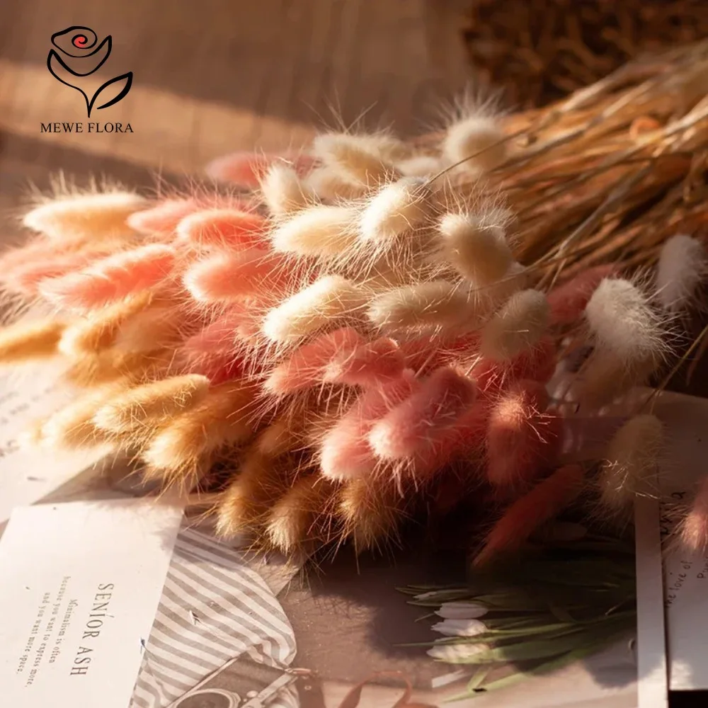 90 Uds. Mezcla de 3 colores co - Dried Pampas Bundle reseña y precio