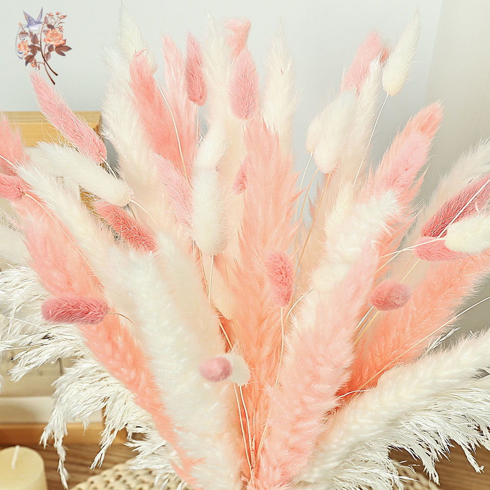 62 piezas de cañas blancas, co - Dried Pampas Bundle reseña y precio
