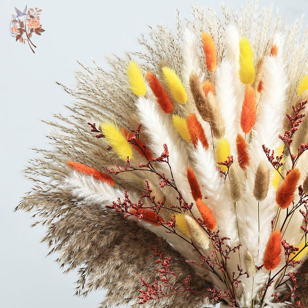 Paquete de hierba de Pampas de - Dried Pampas Bundle reseña y precio