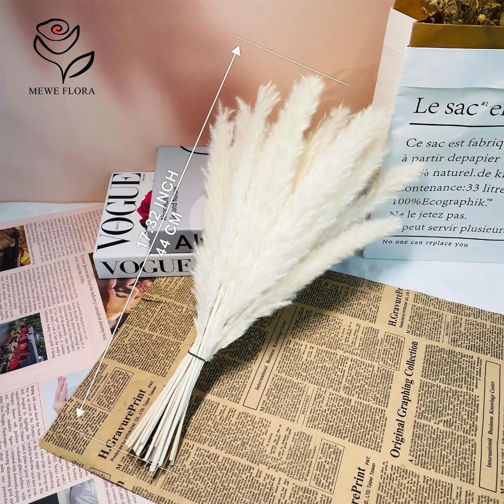 20 Piezas de Hierba de Pampas  - Dried Pampas Bundle reseña y precio