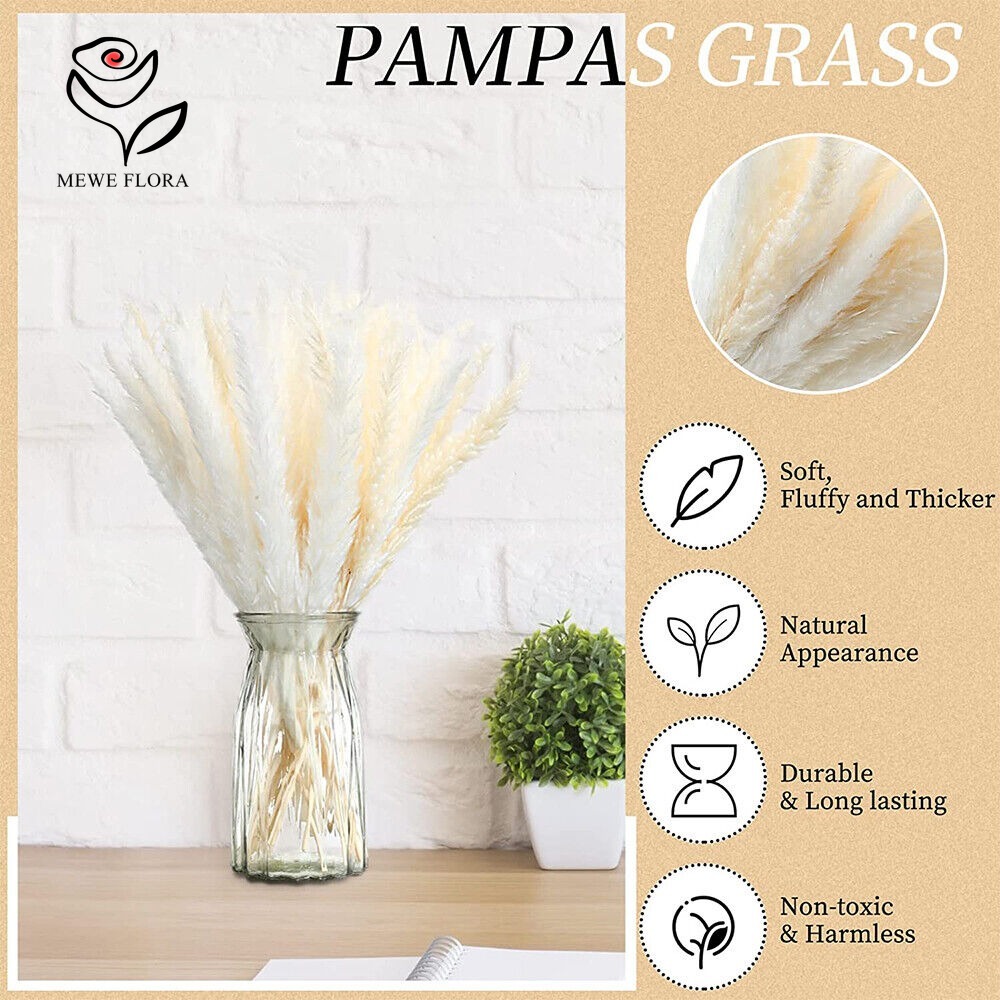 20 Piezas de Hierba de Pampas  - Dried Pampas Bundle reseña y precio