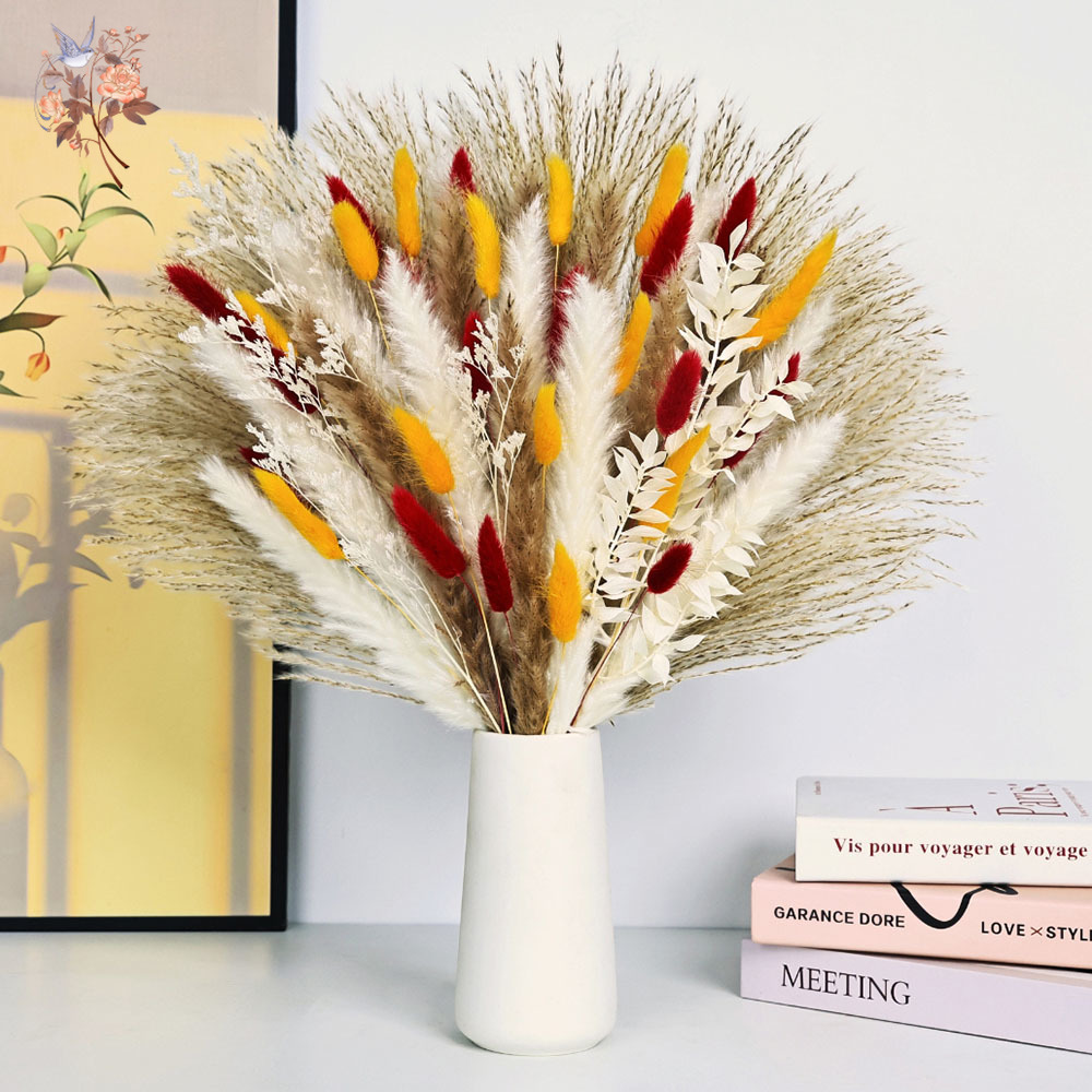 70 tallos de cañas de hierba d - Dried Pampas Bundle reseña y precio
