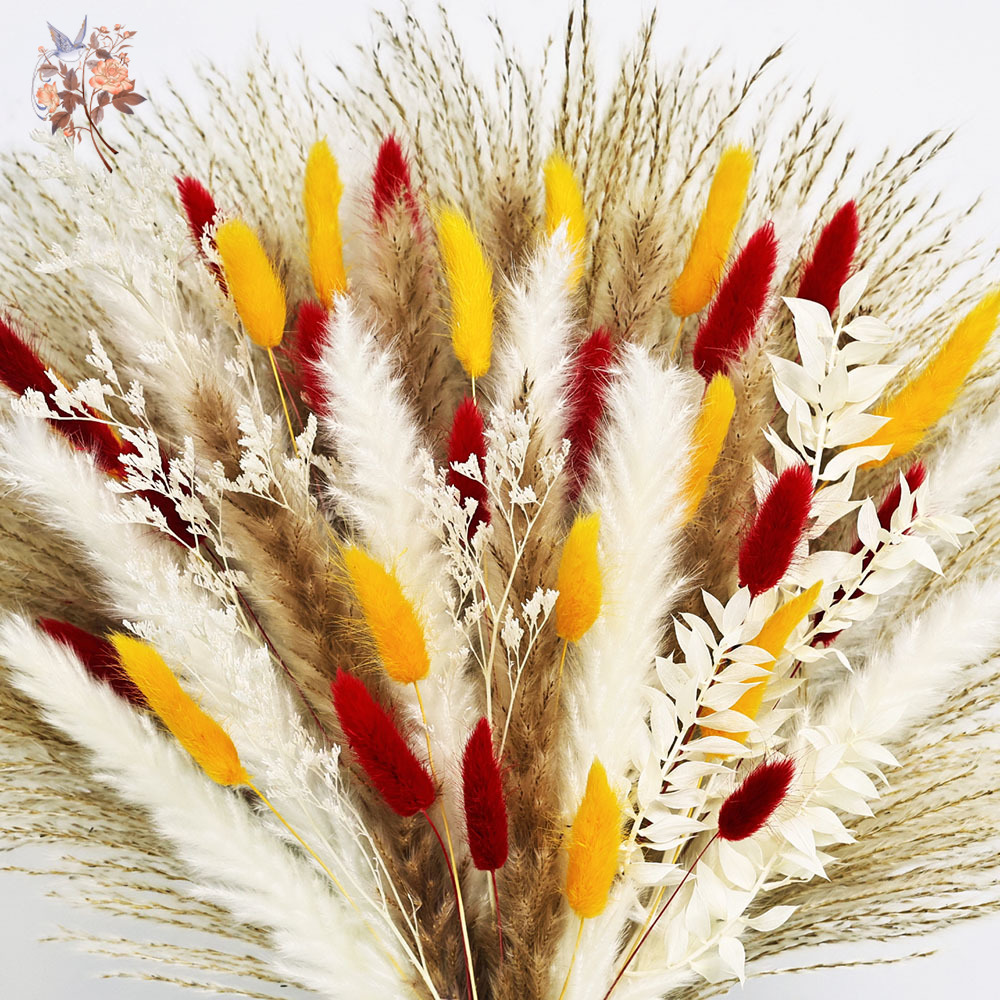 70 tallos de cañas de hierba d - Dried Pampas Bundle reseña y precio