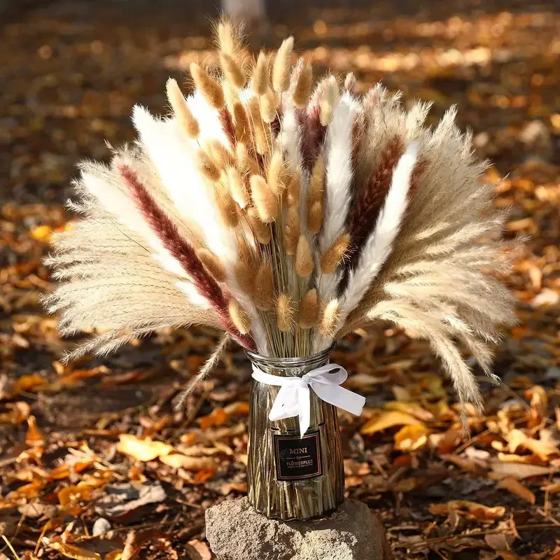 200 Uds. De colas de conejo de - Dried Pampas Bundle reseña y precio